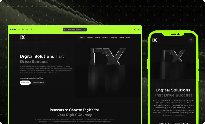 DigitX